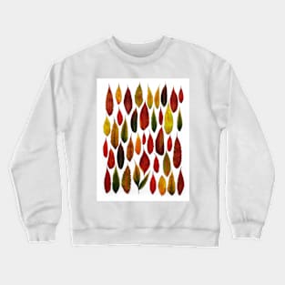 Collecting Colors (2) Crewneck Sweatshirt